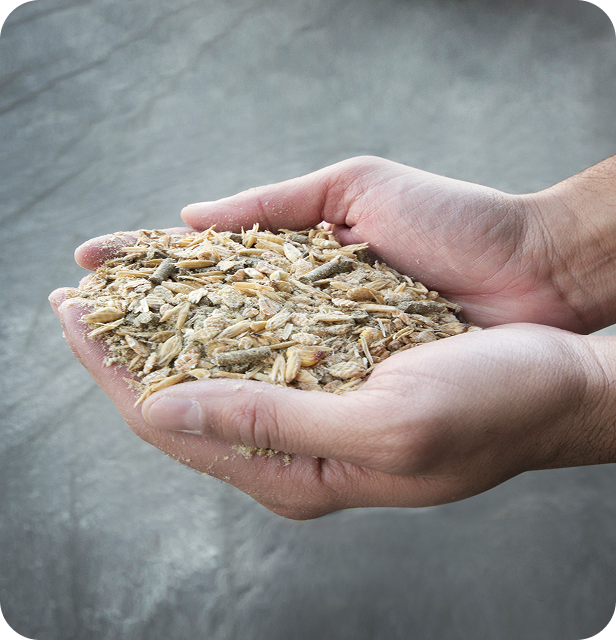 mangime per animali da produzione alimentare e da compagnia