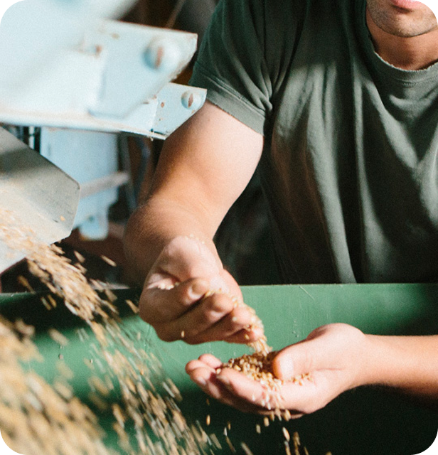 dettaglio tecniche produttive di mangimi e industria mangimistica